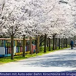 Modern, Komplett Saniert, In Zentraler Citylage Beim Kennedyplatz, Voll Ausgestatte Kueche, Offener Wohn- Und Essbereich, Helle Raeume *