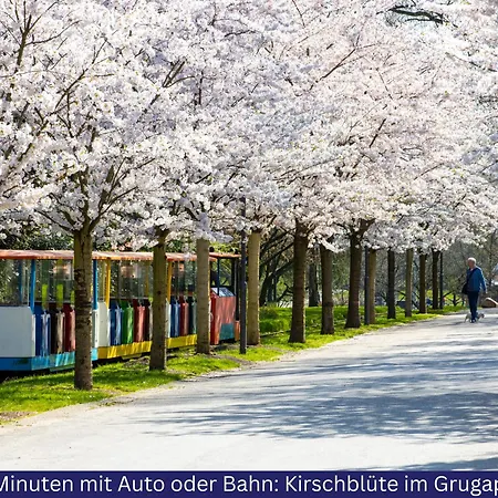 Modern, Komplett Saniert, In Zentraler Citylage Beim Kennedyplatz, Voll Ausgestatte Kueche, Offener Wohn- Und Essbereich, Helle Raeume *