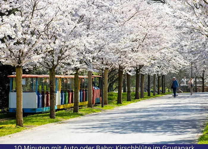 Modern, Komplett Saniert, In Zentraler Citylage Beim Kennedyplatz, Voll Ausgestatte Kueche, Offener Wohn- Und Essbereich, Helle Raeume *